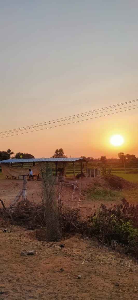 5 Places To Visit In Yadagirigutta To Make The Most Of Your Trip Tripoto