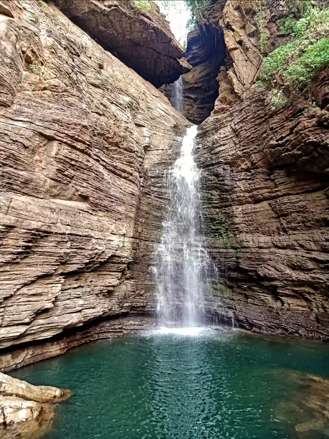 Photo of 7. Mhadei Wildlife Sanctuary