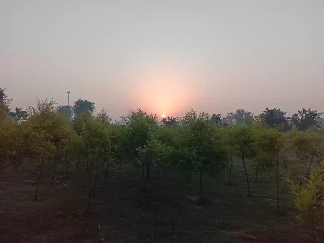 Photo of Janeshwar Mishra Park