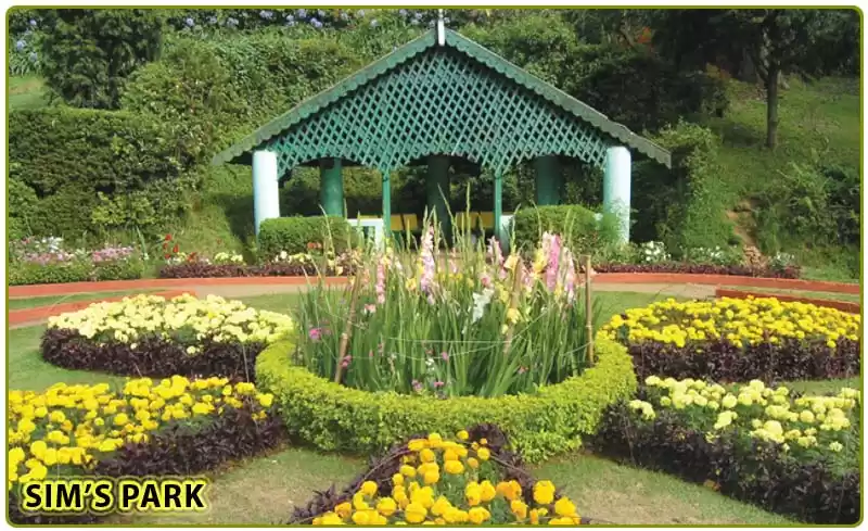 Photo of Sim's Park