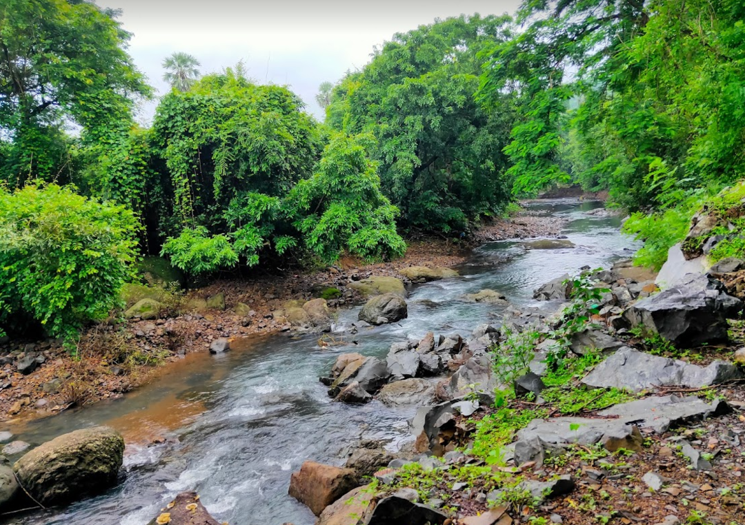 Photo of National Park, Mumba
