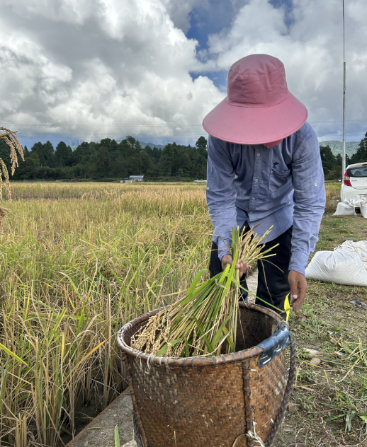 Photo of 6 Reasons you should