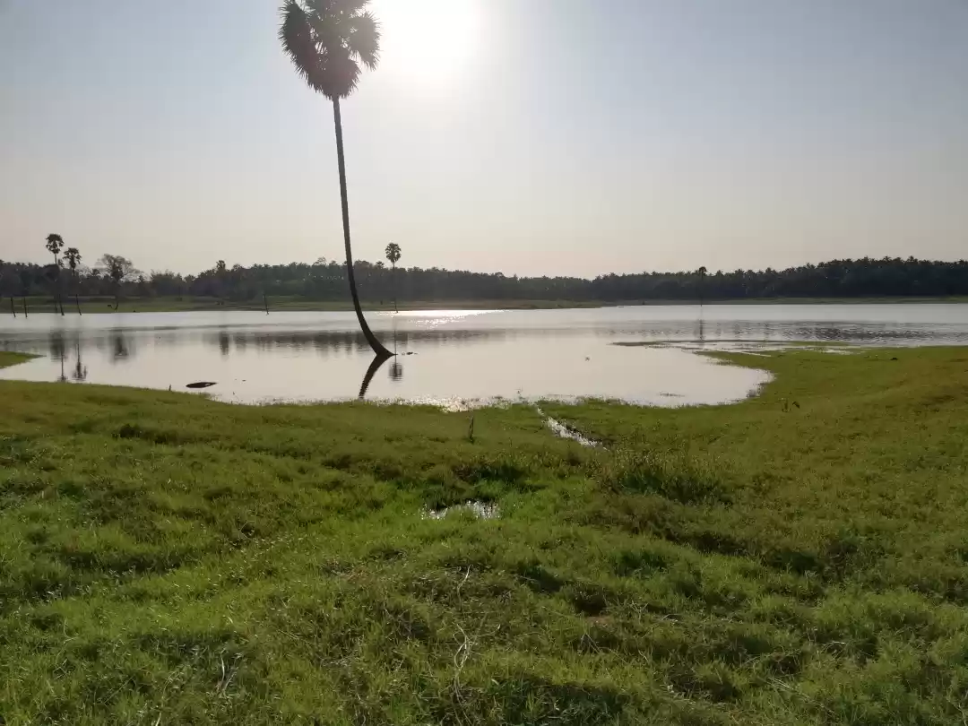 Photo of Palakkad - Ponnani Rd