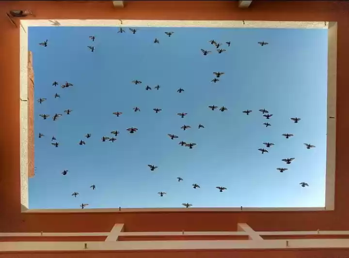 Photo of KLS Gogte Institute of Technology