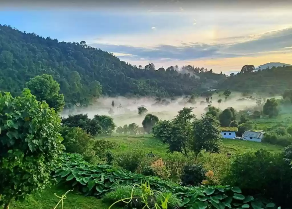 Photo of Boating resumes in S
