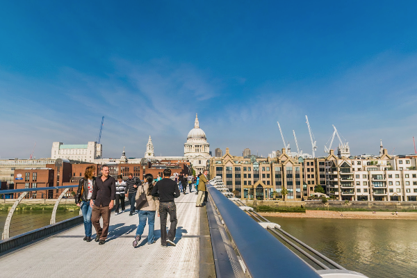 Photo of Embrace Nature's Bea