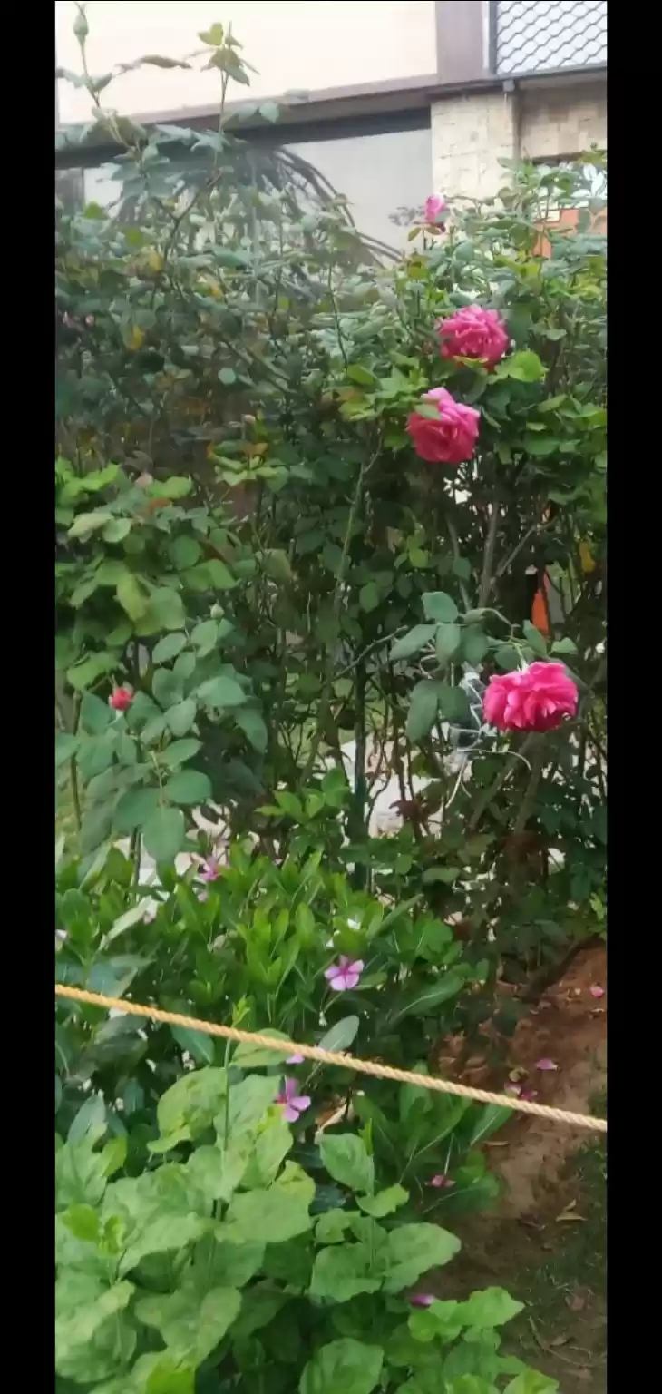 Photo of Asola Bhatti Wildlife Sanctuary