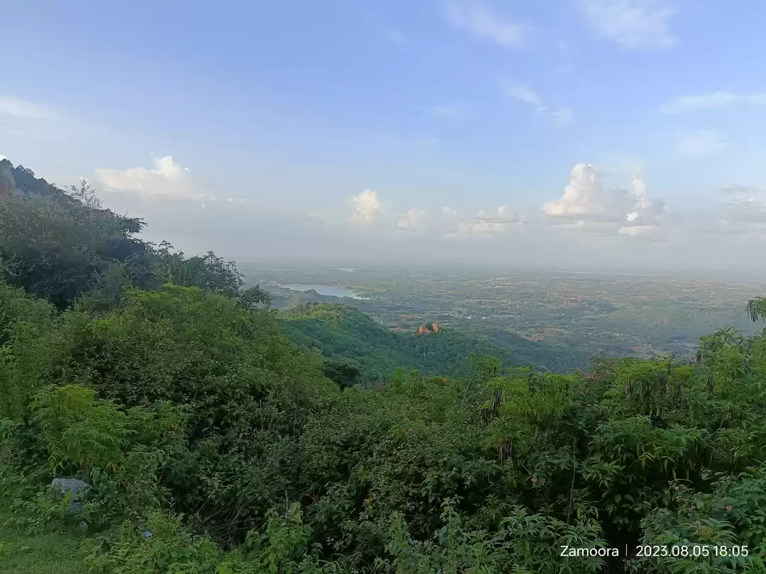 Photo of Unveiling the Perfec