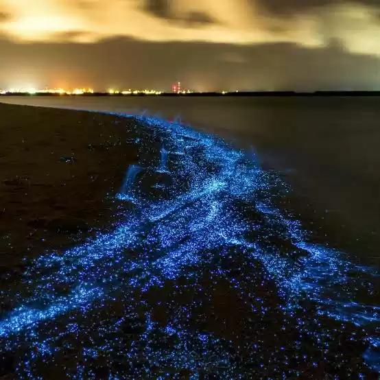 Photo of Vaadhoo