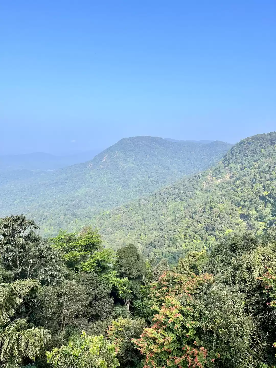 Photo of Agumbe