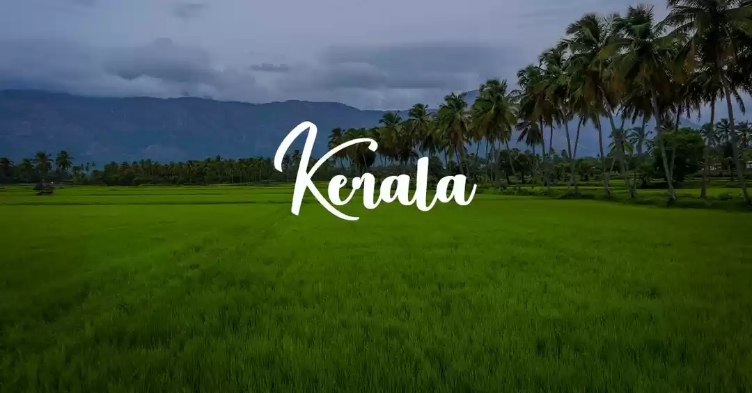 Image 1 of Must Do Kerala With Kanyakumari – 9Days