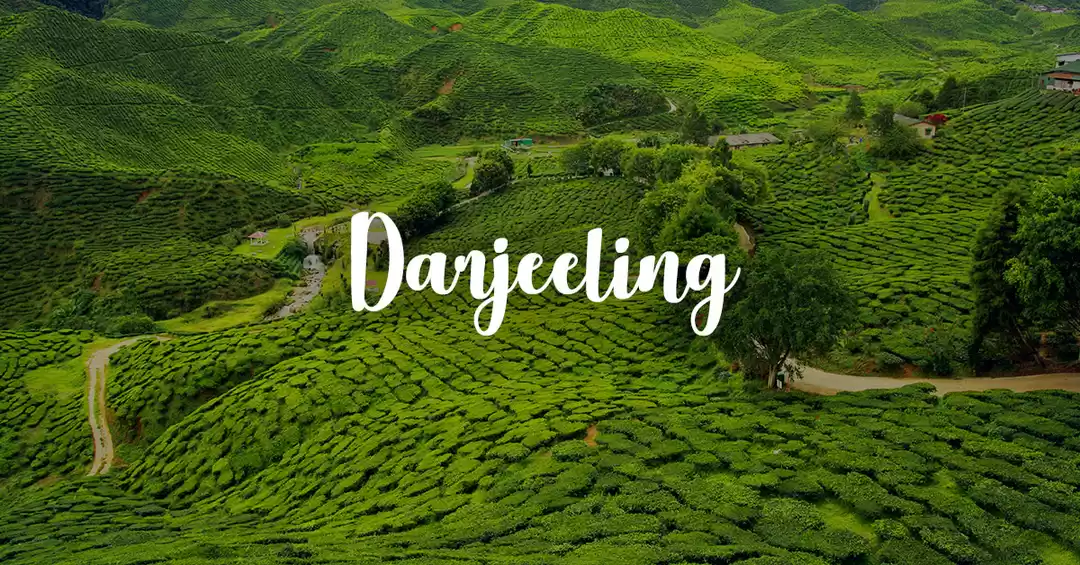 Image 1 of Sikkim & Darjeeling Tour