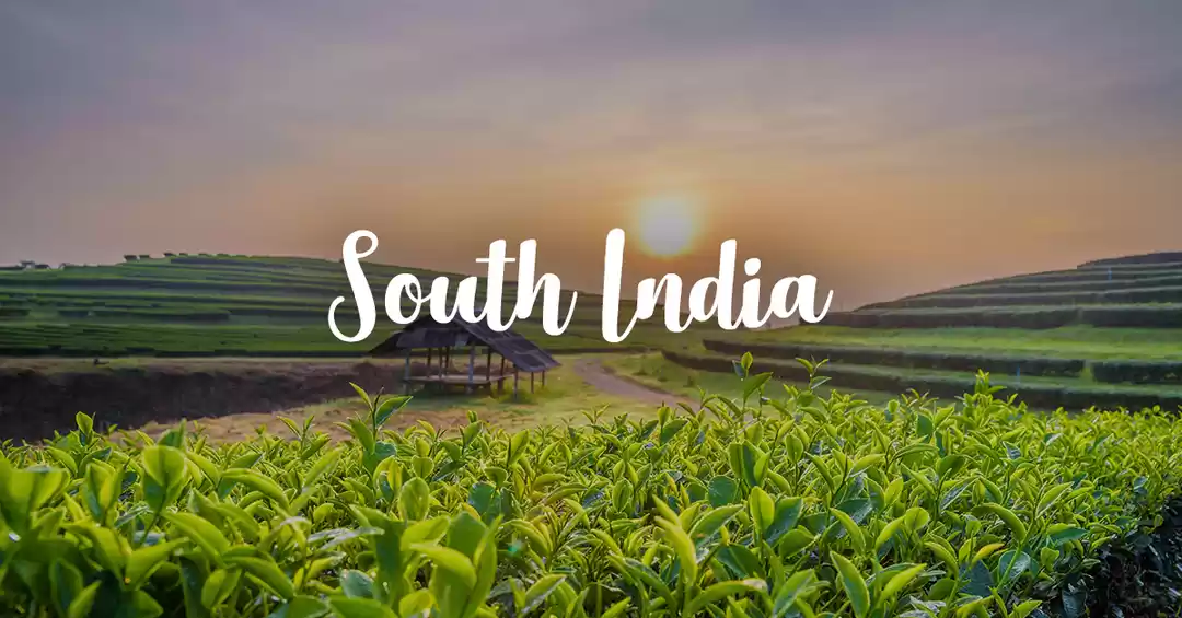 Image 1 of South India Golden Route Tour Package