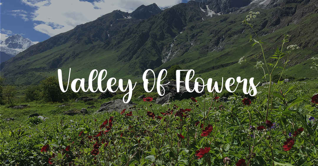 Trek to Valley of Flowers For 6 Days/5 Nights ₹ 7,999