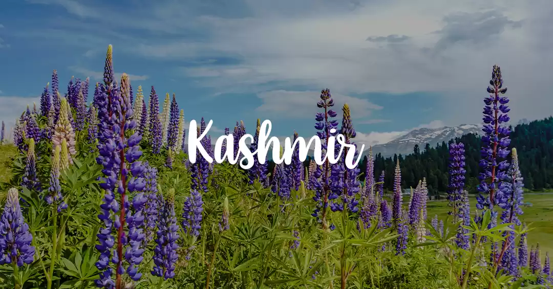 Image 1 of Exotic Kashmir Itinerary 4NIGHTS & 5DAYS 