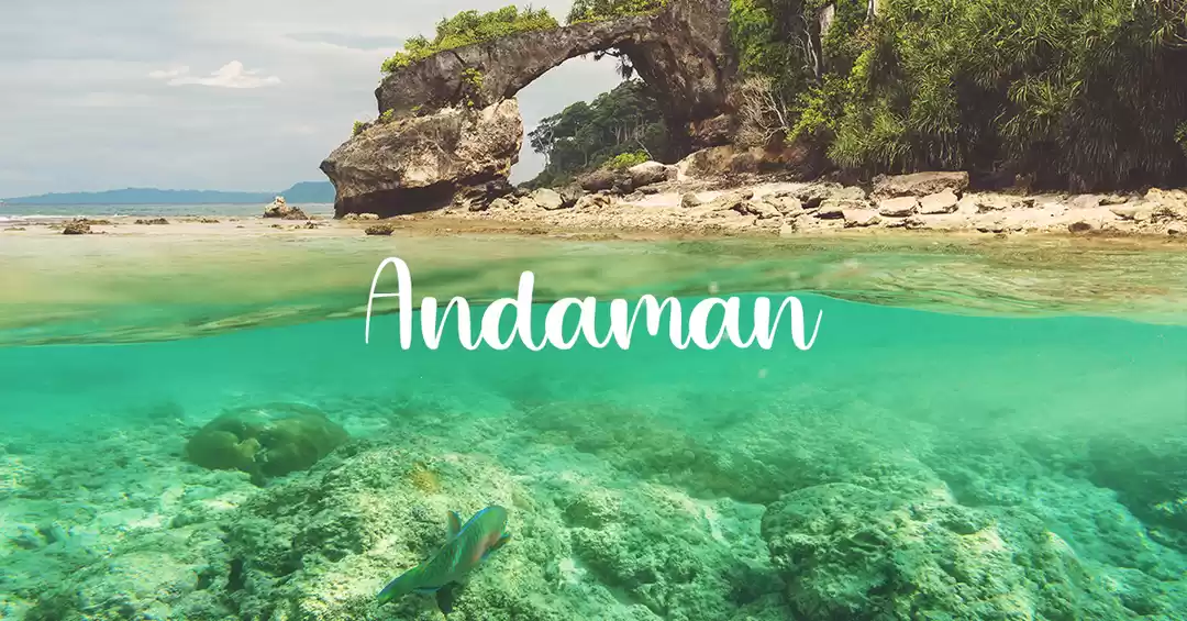 Andaman And Nicobar Tourism (2025) > Top Places, Best Time & Travel Guides