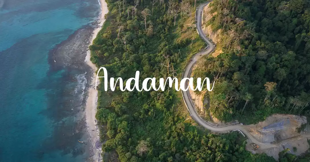 Image 1 of Exotic Andaman 