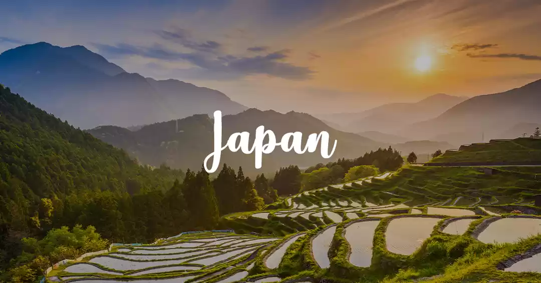 Photo of Cruise To Japan
