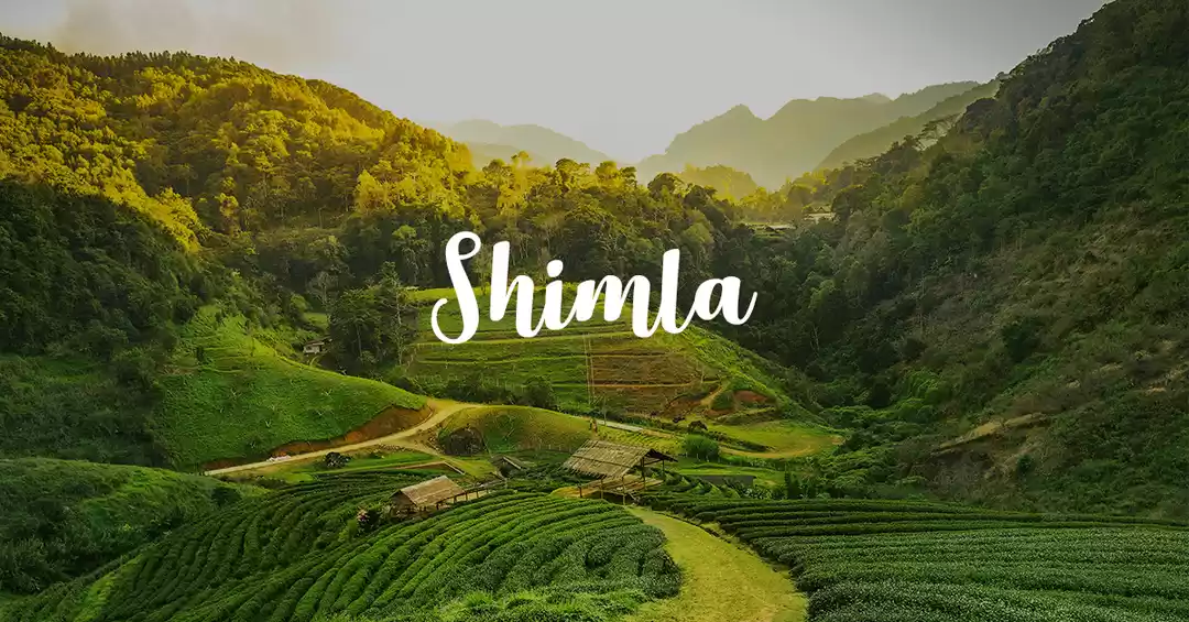 Photo of Snow Special Shimla-Manali