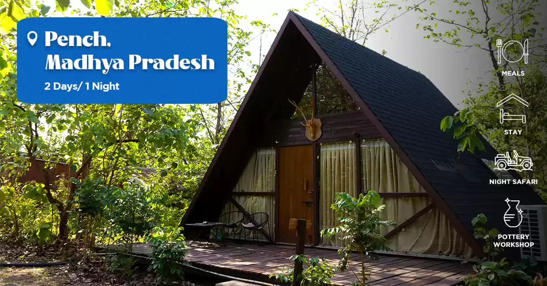Photo of Spot Exotic Wildlife & Indulge In A Luxurious Stay Inside Pench National Park 