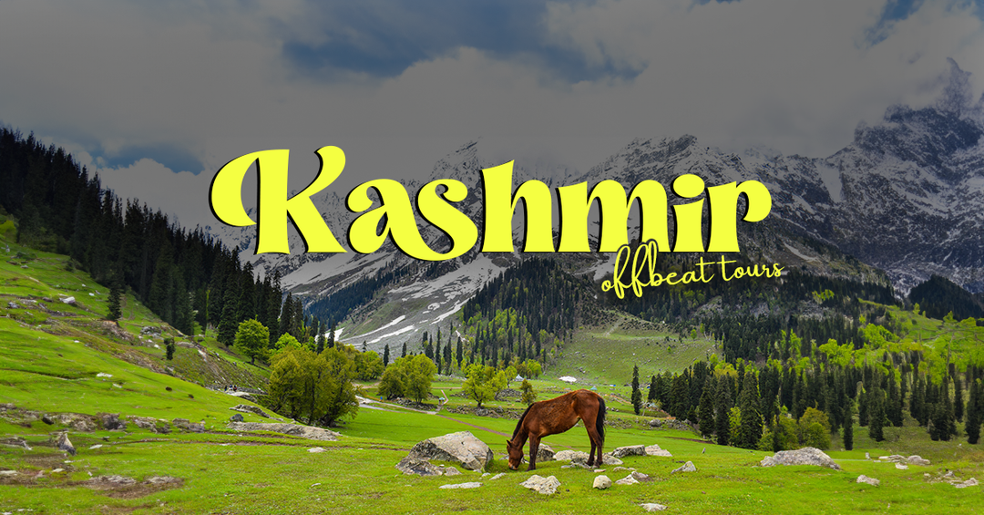 Photo of Kashmir Offbeat Tour 6 Nights