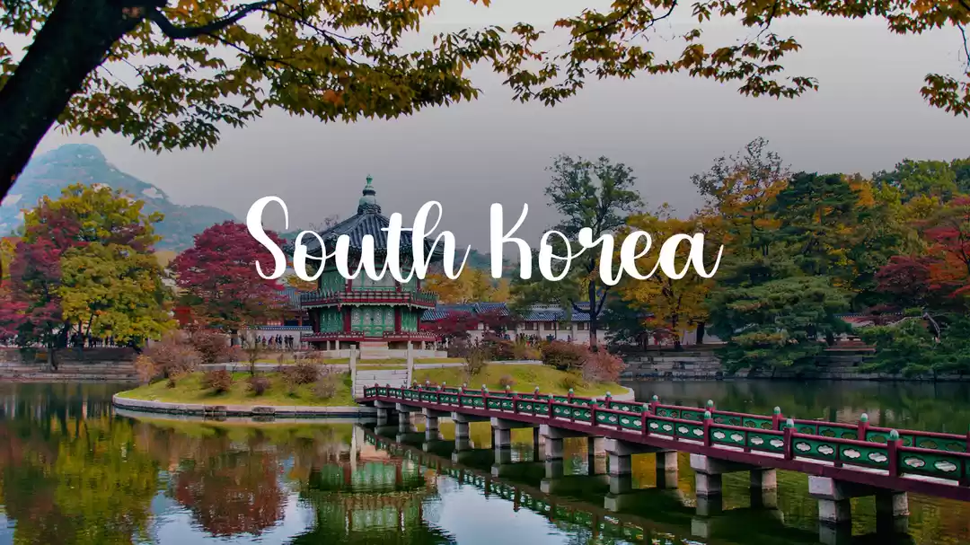 Image 1 of Seoul & Busan Cherry Blossom Dream: 7 Days of Blossoms and Beauty