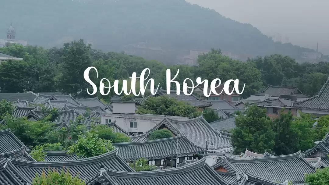 Image 1 of Seoul to Busan: A 6-Day Cherry Blossom Wonderland