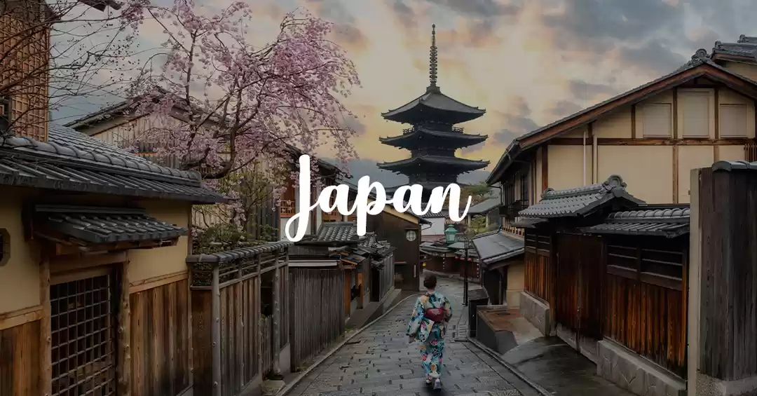 Photo of Blooming Japan: A Special Cherry Blossom Experience