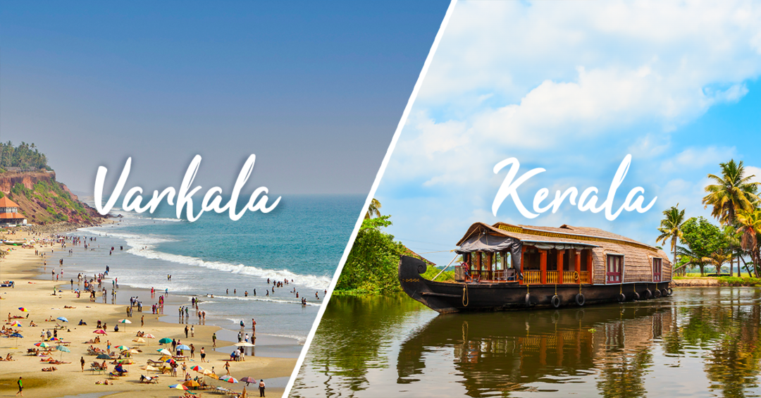 Photo of Kerala Serenity: Hills, Wildlife, Backwaters & Beaches (5N/6D) with Varkala