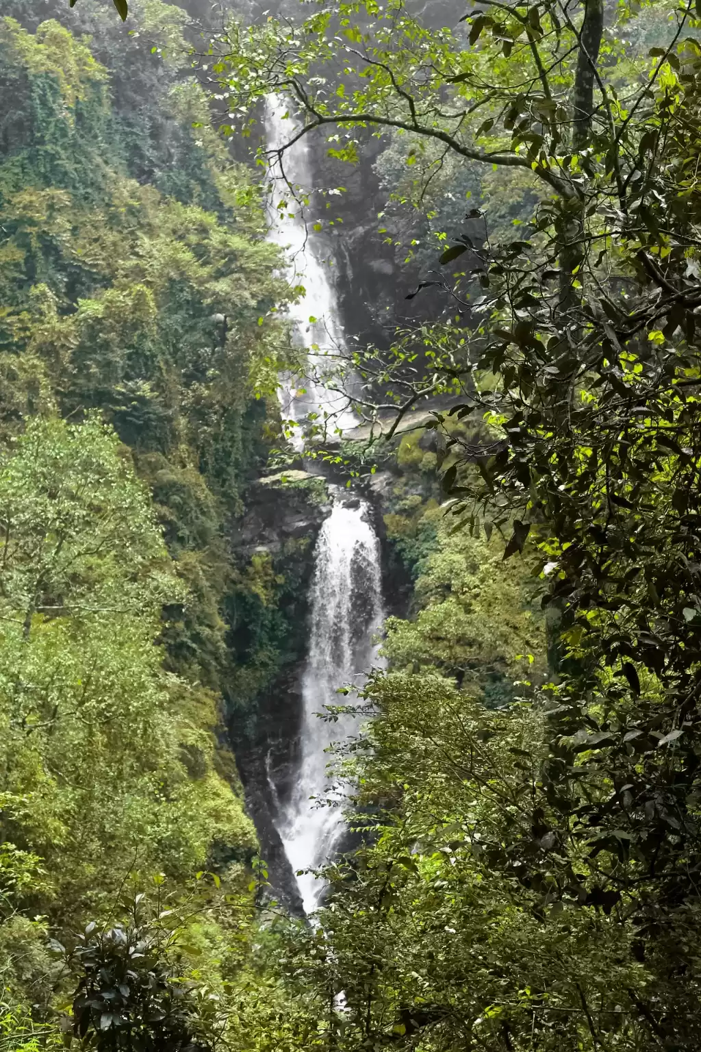 Photo of 6. Netravali Wildlife Sanctuary