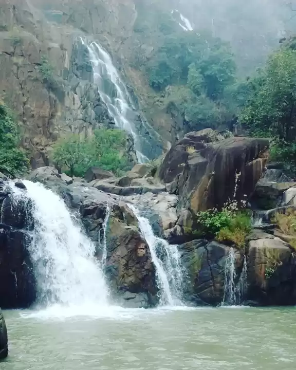 Photo of Netarhat