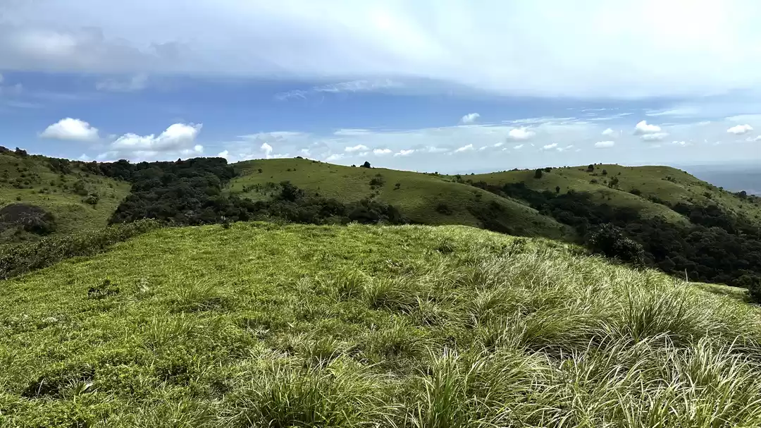 Photo of Instinctive Trek to 