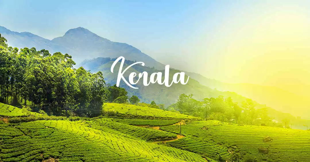 Image 1 of Kerala 5 Night Premium Package