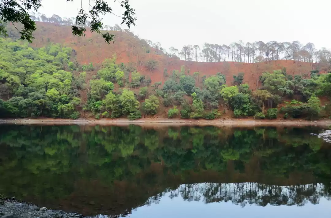 Photo of Garur Tal