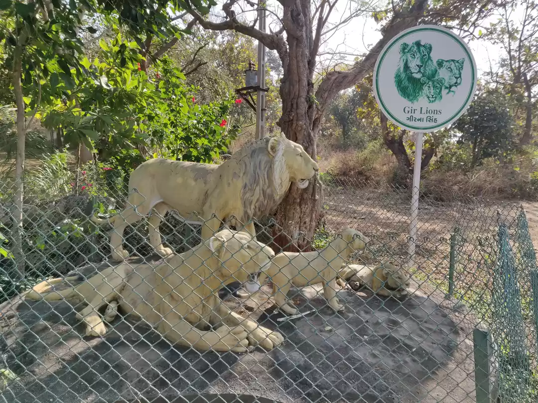 Photo of भारत का प्राचीन वन्य