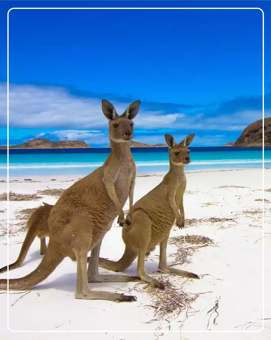 Photo of These Fascinati