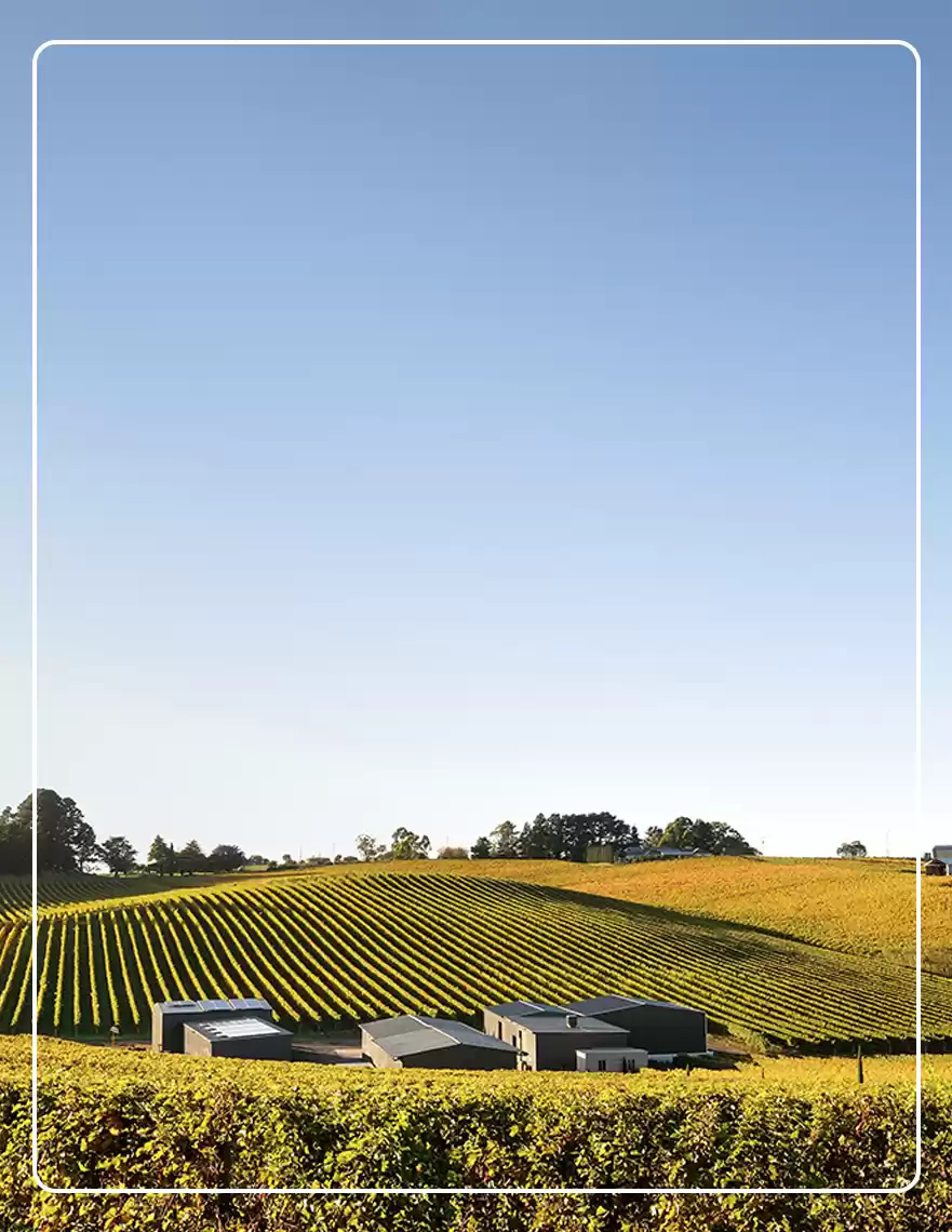 Photo of The Barossa Val