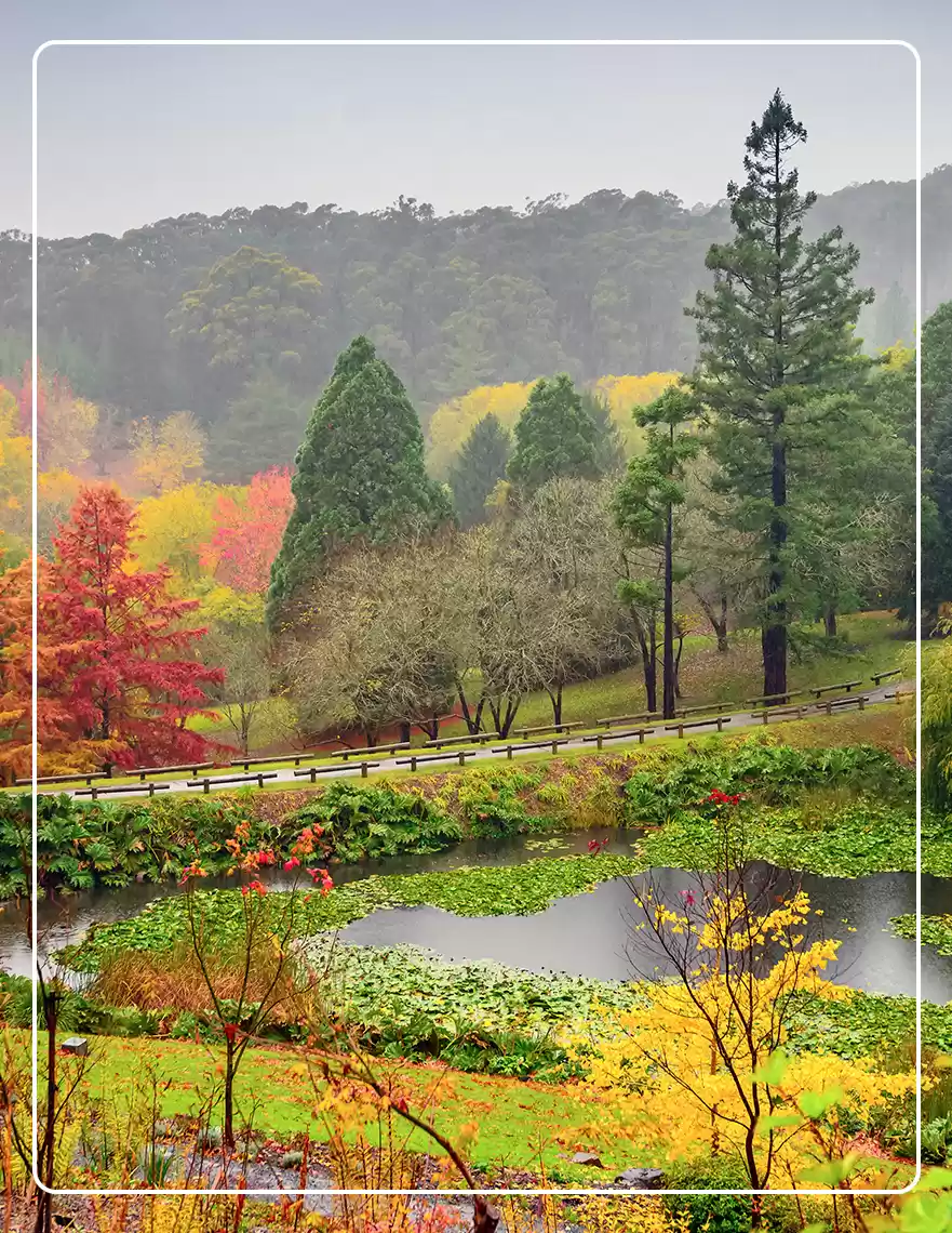 Photo of Vineyards In Au