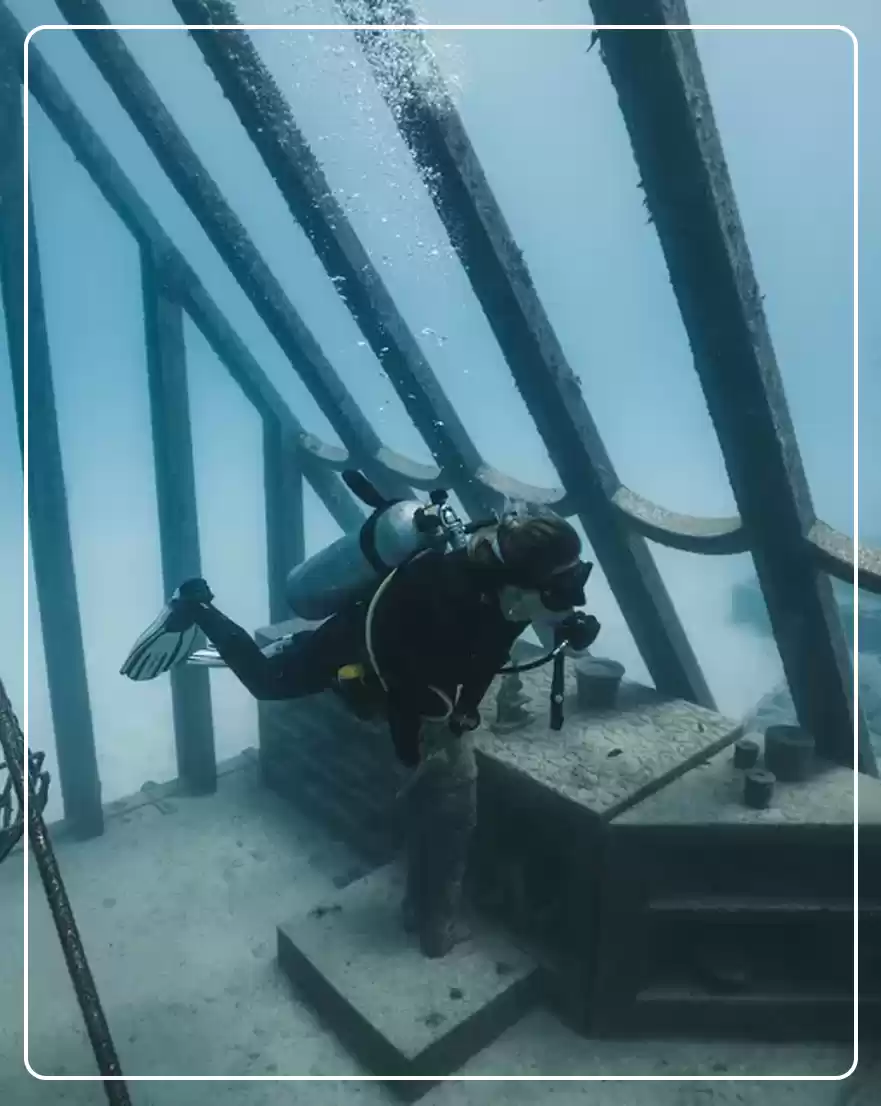 Photo of 10 Fascinating 