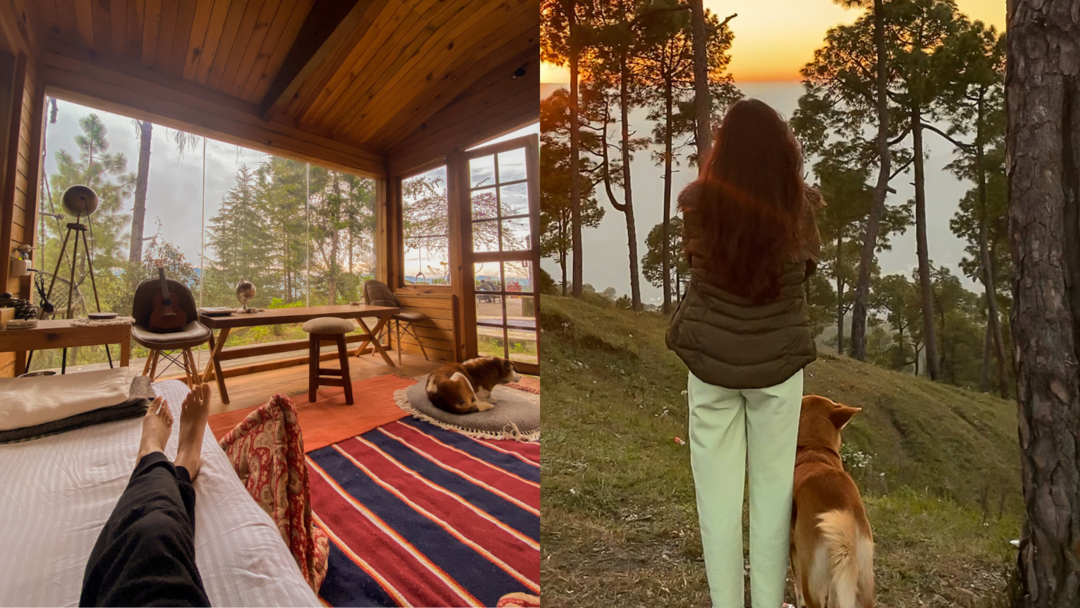 Photo of Shantiniketan: 