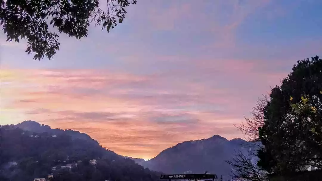 Photo of Off-Season Sojo