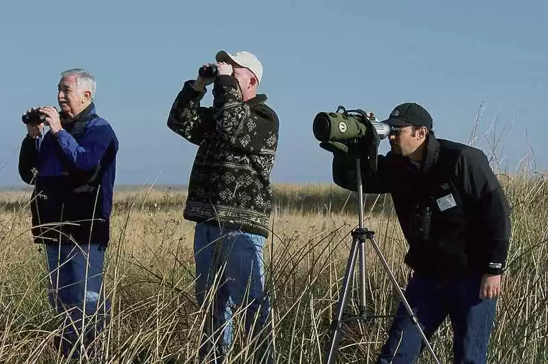 Photo of Bird-Watching I