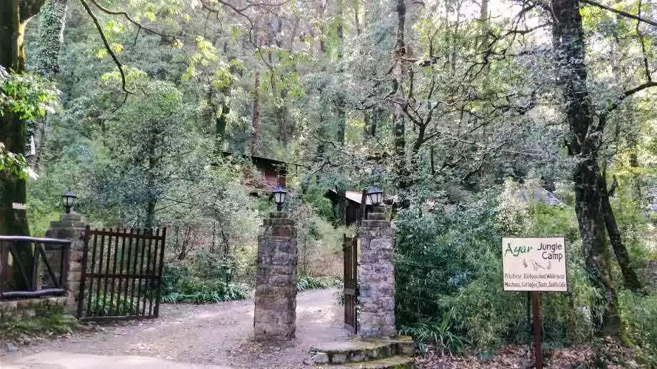 Photo of Jungle Camping,