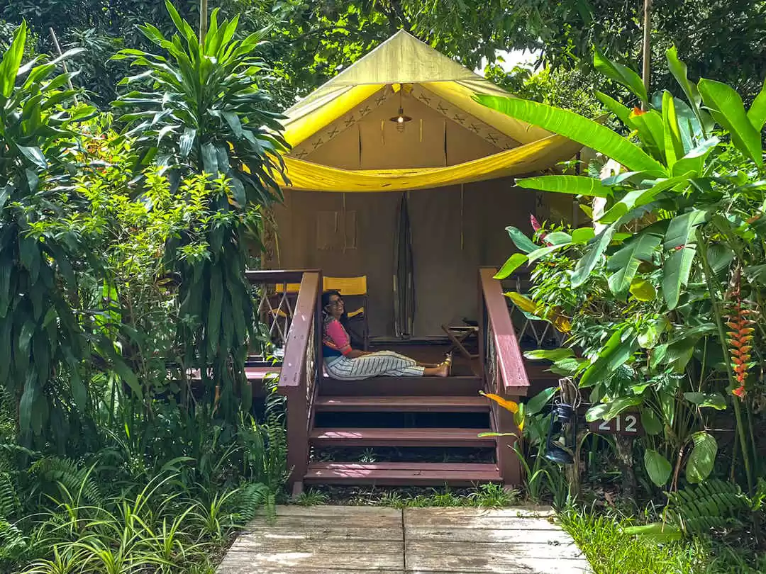 Photo of Here's Why Your