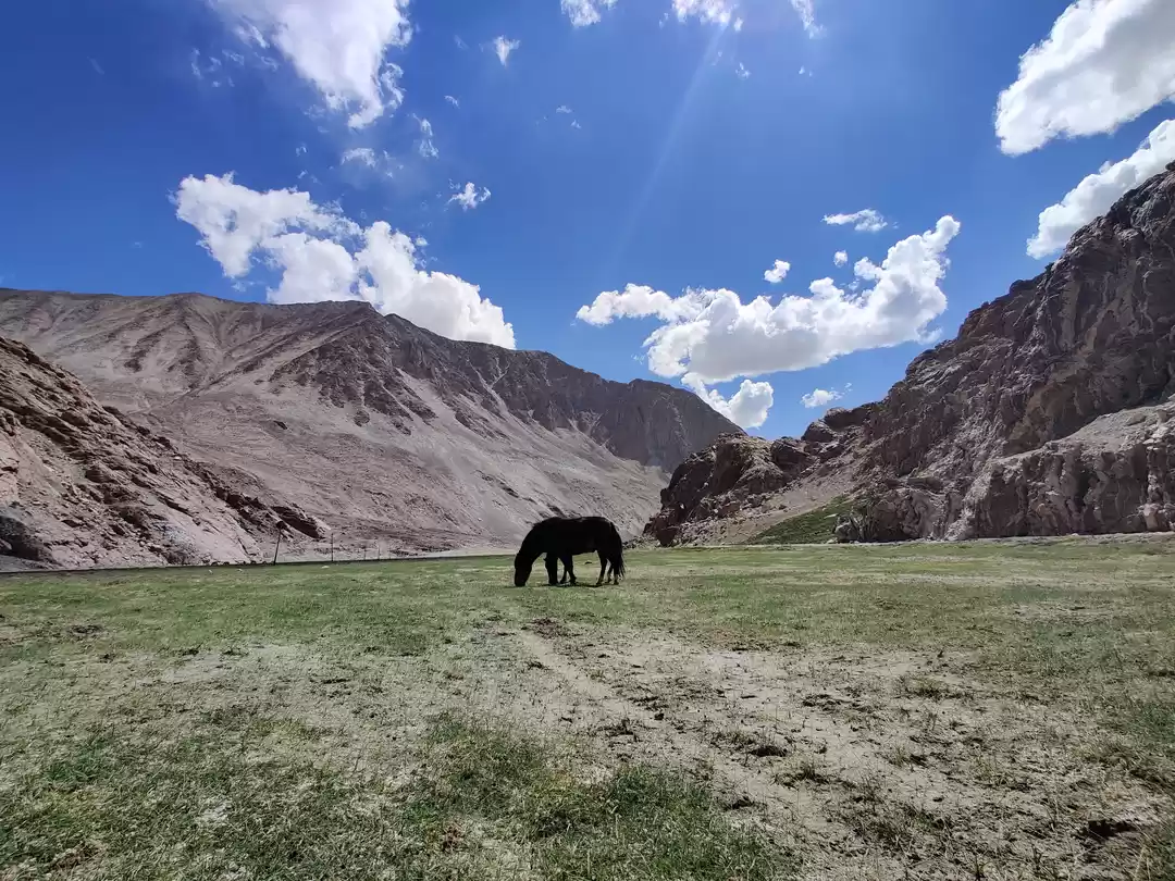 10 great reasons to visit Leh-Ladakh in May ~ The Land of Wanderlust