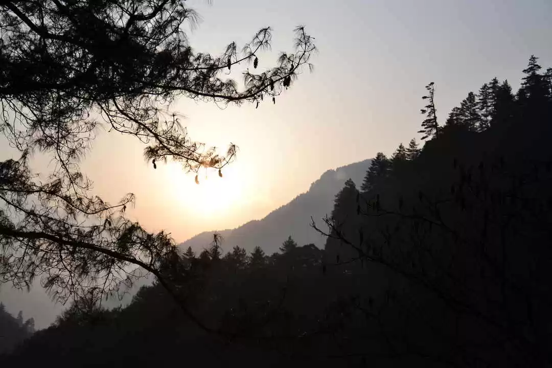 Photo of Guide to North 