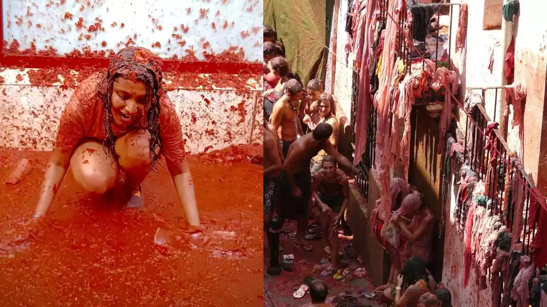 Photo of This Real-Life Food 