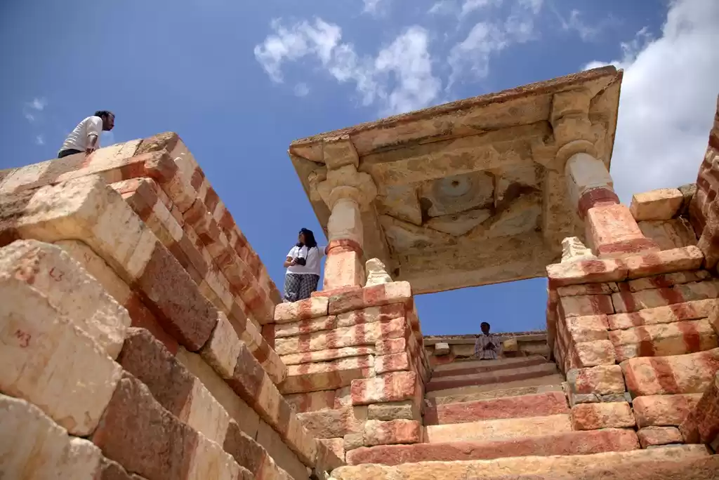 Photo of Evolve Back, Ha