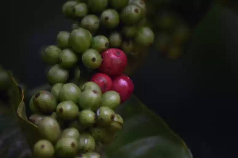 Photo of Sinking in the 