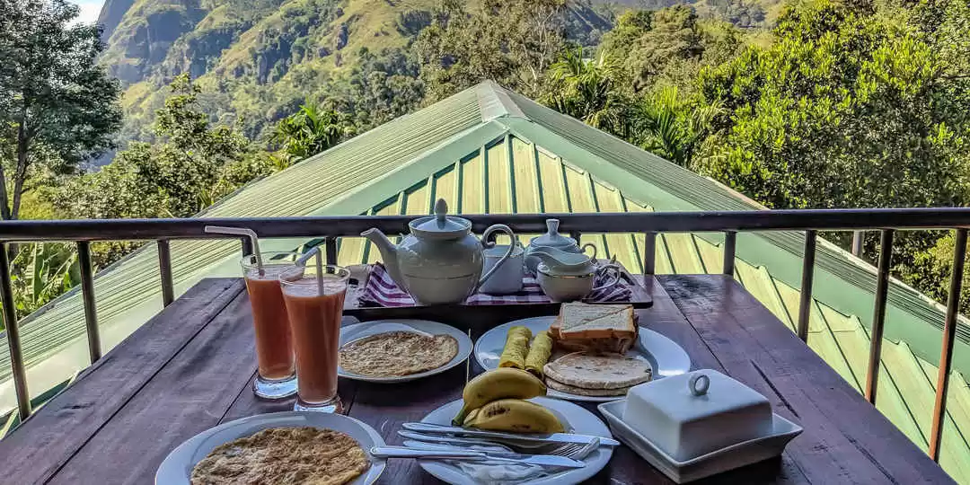 Photo of A peak into the